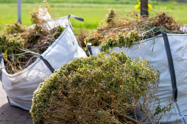 Best Construction Debris Removal  in Calhoun, GA